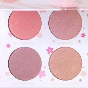 Make up blush highligh